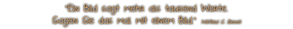 “Ein Bild sagt mehr als tausend Worte.  Sagen Sie das mal mit einem Bild.” Wilfried S. Bienek